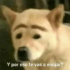 Y por eso te vas a enojar?