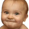 Funny Stickers 5
