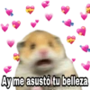 Amorcito corazón 💖💝💘💕💞  2 13