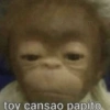 toy cansao papito