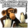 Me gusta como
piensas simio
@rose.stickers1