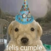 APPY
RTHDA
E
felis cumple