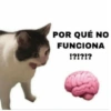 POR QUÉ NO
FUNCIONA
!?!?!?