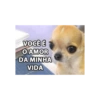 Miau miau caralho 4 12