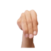 Mexican Sign Language 13