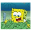 Dinero 17