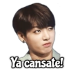Ya cansate!