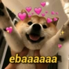 RAZÕES E EMOÇÕES 💖 12