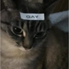 ORGULLO LGBT 10