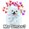 Amorcito Corazón 💕💓 12