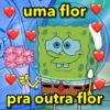 uma flor
pra outra flor