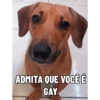 Mel_e_kadu 8