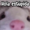 Memes Random XD 😎🥵1 11