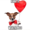 PARA TI
WAXITO RICO