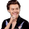 👑⭐ Harry Styles Top ⭐👑 29