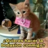 ¿Quieres hacer la
bodasion conmigo?