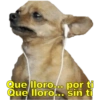 Perritos con canciones Sad 27
