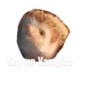 Soy un Vampiro