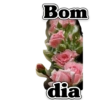 Lindas 26