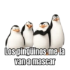 NUNCA SUPE COMO SE ESCRIBE 2 19