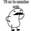 Tú no te mandas
sola
