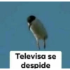 Tu nombre Bebé😎😳👍🏻  16