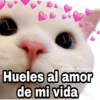Amorcito corazón 💖💝💘💕💞  2 23