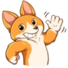 Cute dog 5