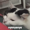 nyenyenye