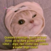 Gatitos que mejoran
tu mood
@Cats4mood en Instagram
Quédate conmigo, yo no te hare
llorar, yo te hare g3mir, perdón,
v3nir... digo, reír, como sea, vamos
a sudar, digo soñar.