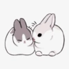 ꮺ﹗ bunny⠀㣴㐆 16