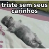 triste sem seus carinhos