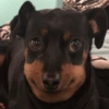 2508