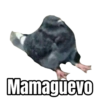 Memes pa’ Enviar del Bueno 🔥 15