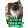 A VOS TE
PARECE QUE
ESTE BIEN?