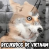 Esto es Muy Random XD 🤚 18