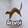 Memes Random XD 😎🥵1 10