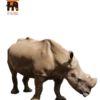 Habitantes del zoo 22
