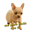 me puse lindx
pa ti