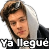 👑⭐ Harry Styles Top ⭐👑 24