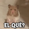 🌹Memes Random 🤡 27