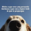 Weles a que eres una personita
hermosa y que vas a lograr todo
lo que te propongas
amamexfi