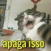 Respostas variadas pra vc usar 13