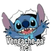 Stich 24