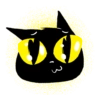 Gato preto 9