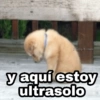 💣🍃 LO MÁS VIRAL mix 1 🛐❤️ 28