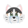 Pack de gatita graciosa 2 23