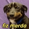 Manda para os amig... 7