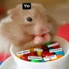 Animalitos Para Conversar 🦄🐸 14