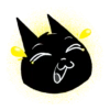 Gato preto 5